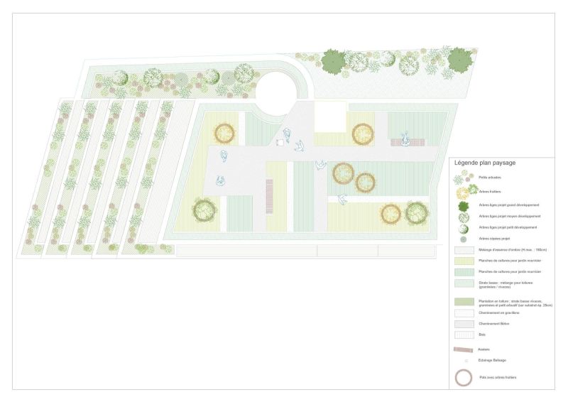 acme_jour_aps_221102-plan-masse-01