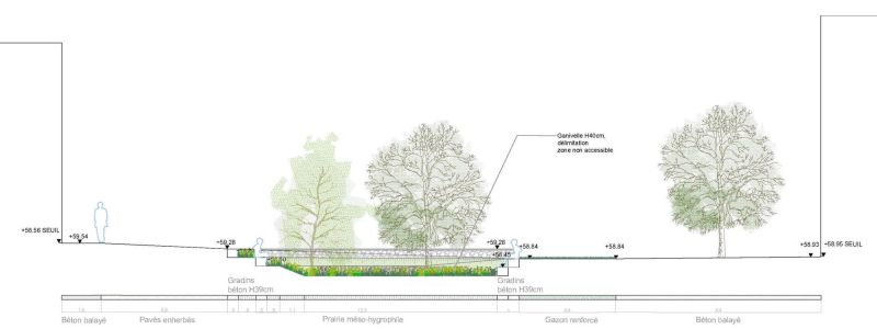 coupe-sur-jardin-de-pluie_1