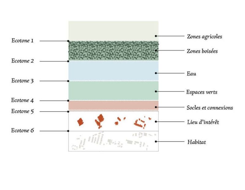 linkcity-x-acme-note-chemin-de-la-montagne-5