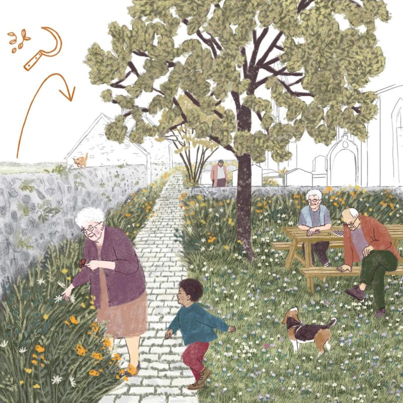 pdf-cmjn-illustrations-ajap-acme-rauville-v5